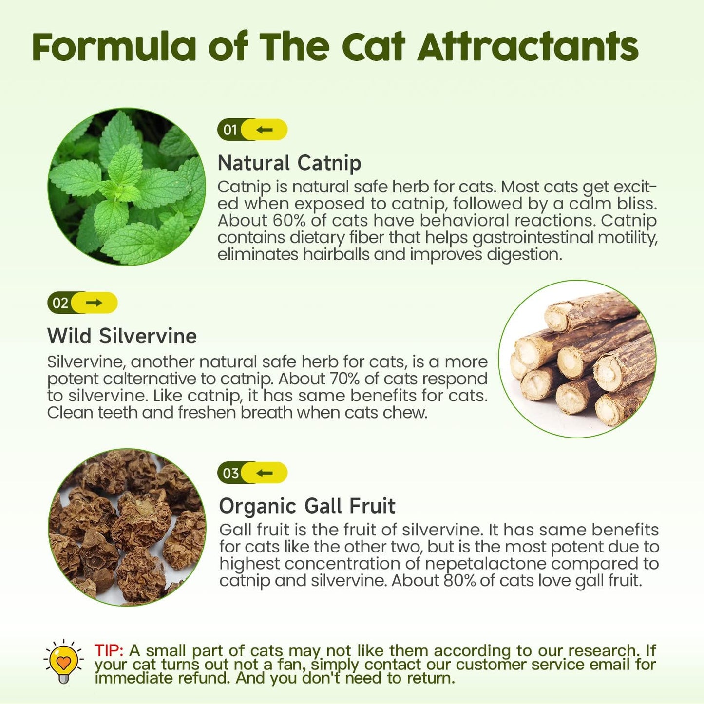 Top view of natural catnip and gall fruit cat toys
