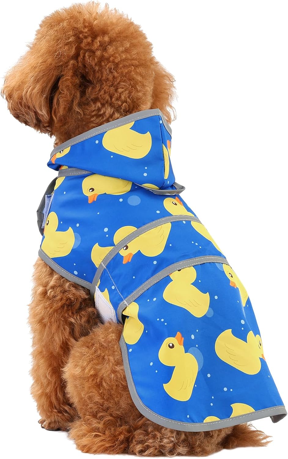 Blue Duck hooded dog rain jacket showing adjustable belly strap