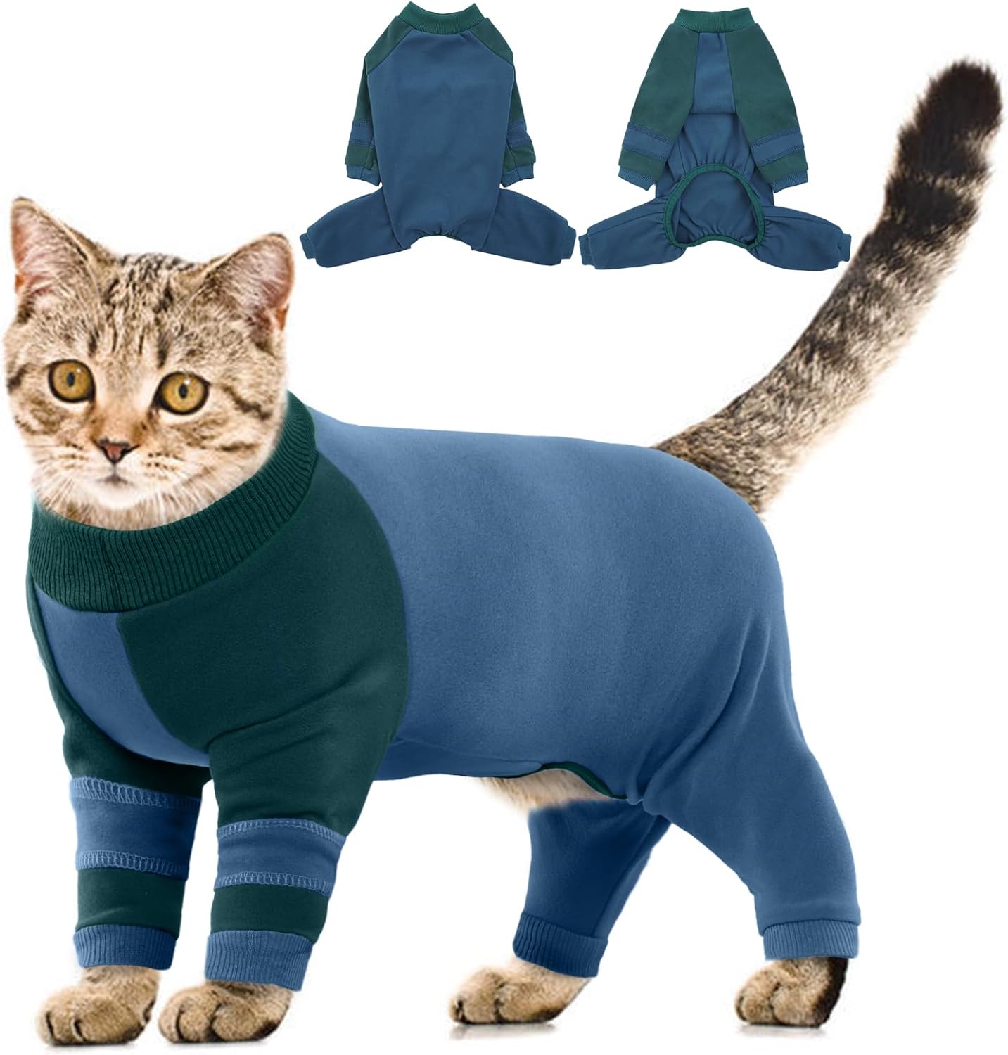 Cat wearing purple onesie for post-surgery protection