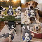 USB charging port and built in battery components of the automated jumping pet plush toy