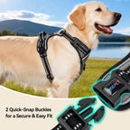 Phoepet dog harness reflective material active at night