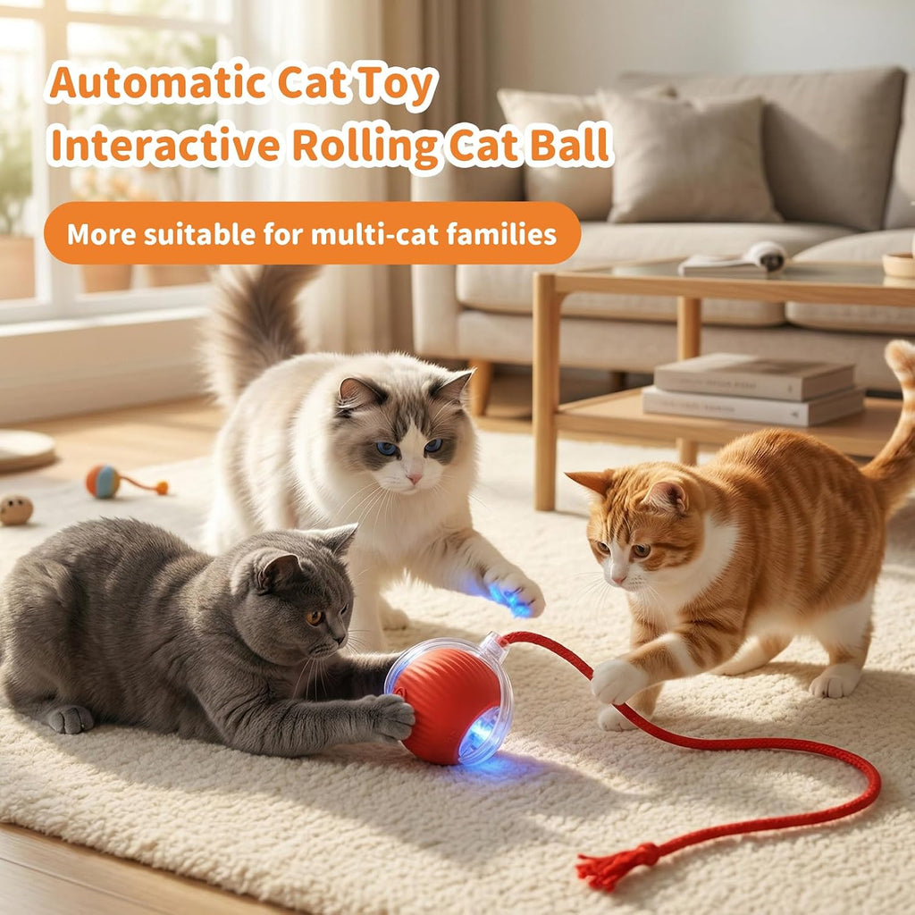 Interactive pet toy ball on carpet surface