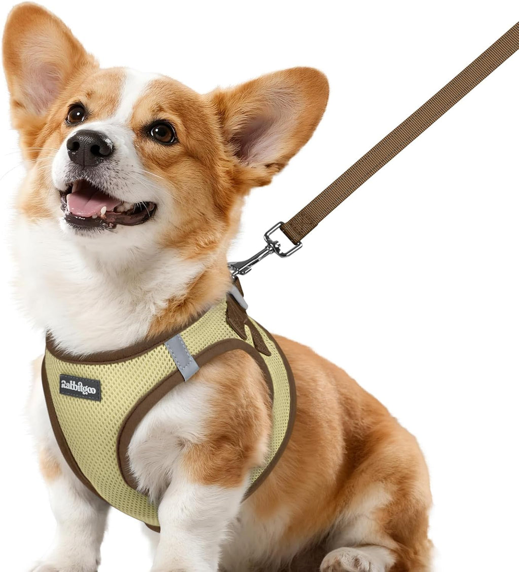 rabbitgoo Dog Harness Small Sized and Leash Set, Step-in Breathable Pet Harness, Soft Walking Reflective Puppy Vest for Small Dogs, Black & Rose Red, S - Image 13