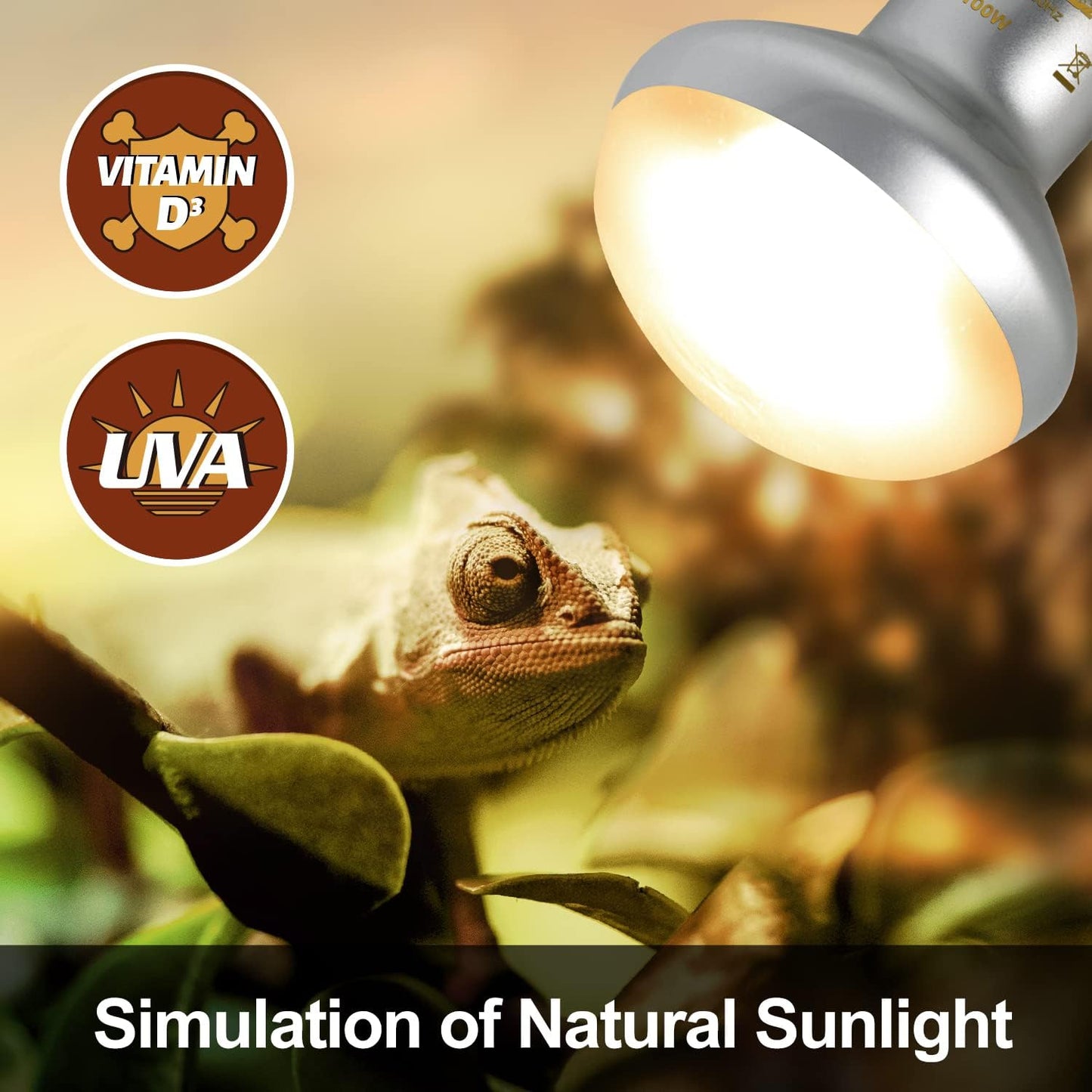 Professional grade 100 watt daytime and nighttime spot lights for exotic pet enclosures.