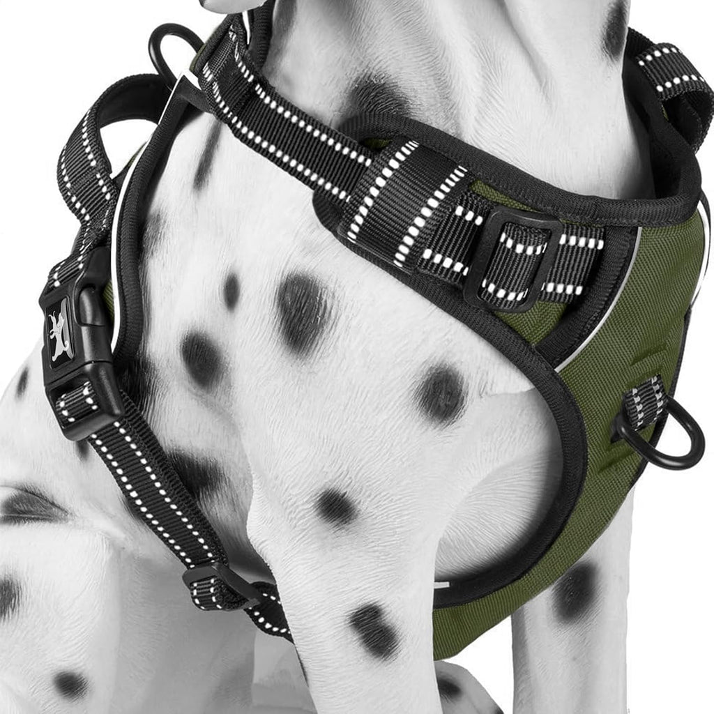 PoyPet No Pull Dog Harness, Reflective Comfortable Vest Harness with Front & Back 2 Leash Attachments and Easy Control Handle Adjustable Soft Padded Pet Vest for Small Medium Large Dogs (Mint Blue,M) - Image 10