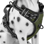 PoyPet No Pull Dog Harness, Reflective Comfortable Vest Harness with Front & Back 2 Leash Attachments and Easy Control Handle Adjustable Soft Padded Pet Vest for Small Medium Large Dogs (Mint Blue,M) - Image 10