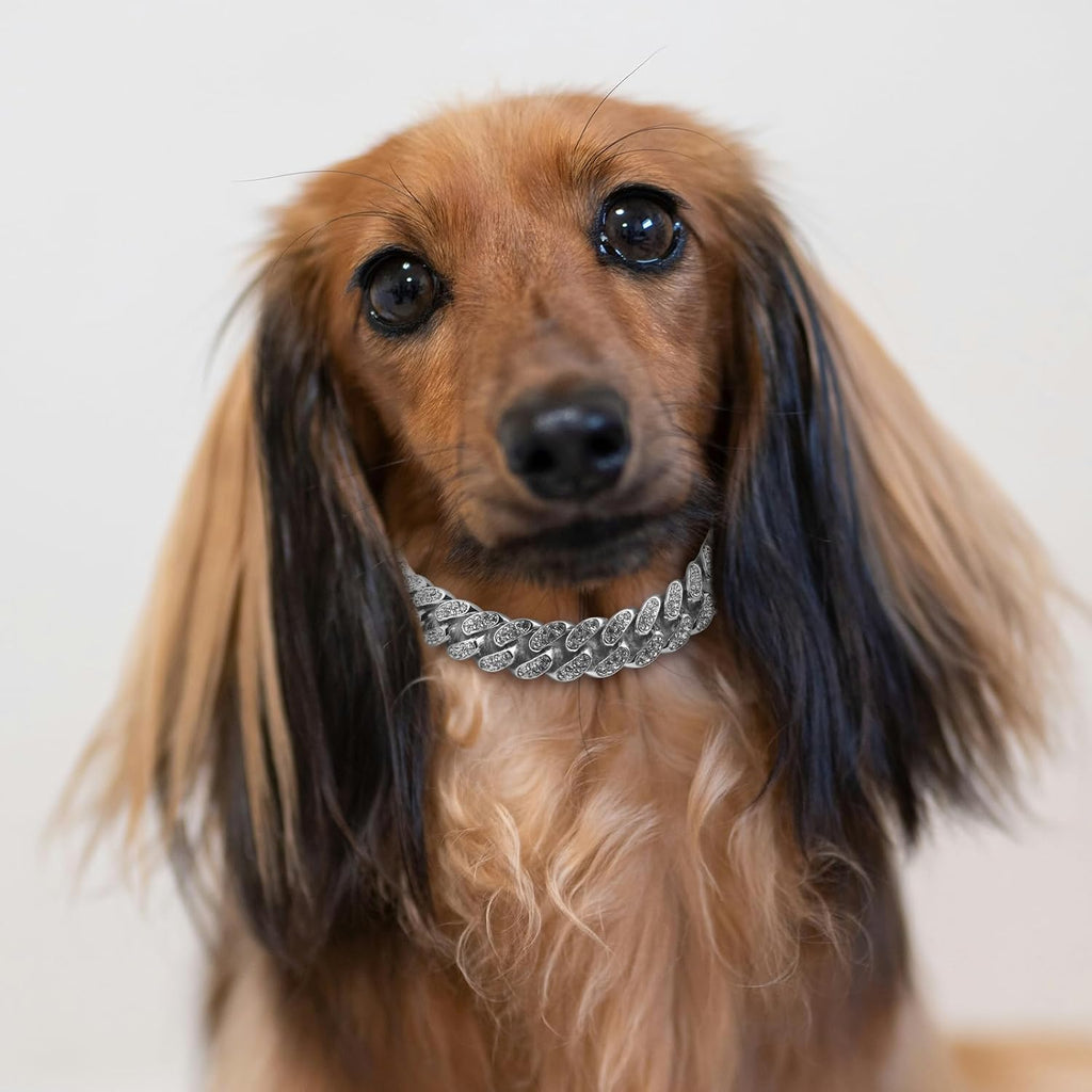 TVTOO silver metal pet necklace showing the smooth inner surface for comfort
