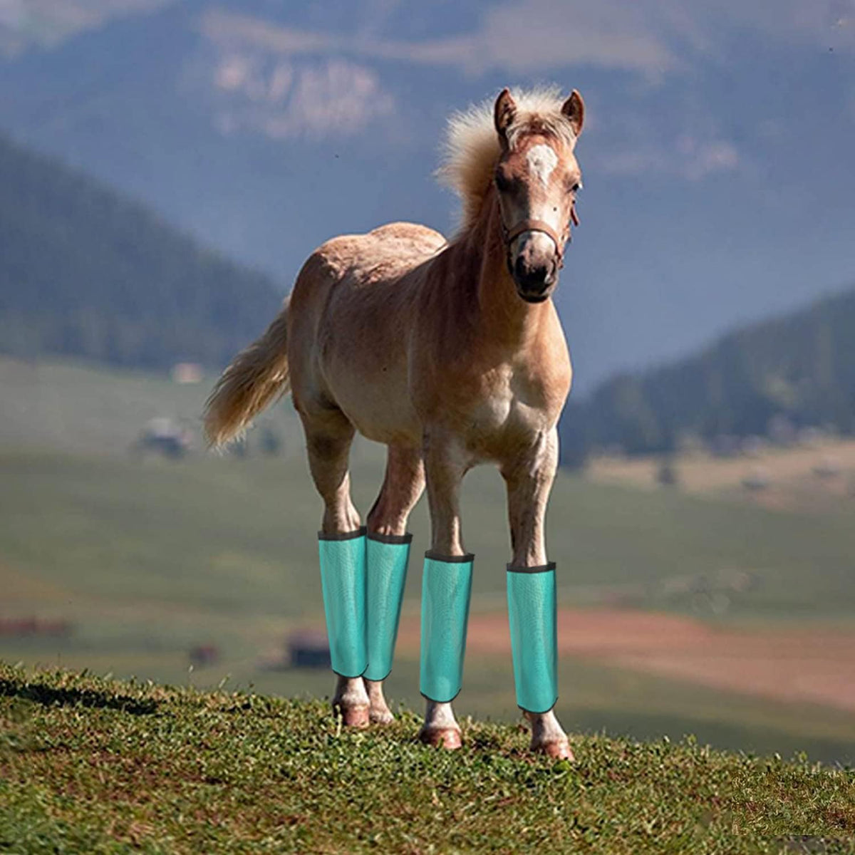 NizHome breathable mesh horse leggings close up of adjustable buckles