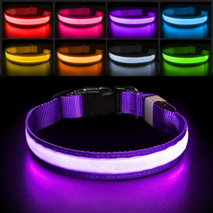 PcEoTllar Light up Dog Collar for Night Walking - LED Dog Collar Light Rechargeable Color Changing, Glow in the Dark Dog Collars Waterproof Glowing Dog Collars for Large Small Medium Dogs - Image 15