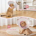 Avont lightweight escape proof recovery cone showcasing the snap closures