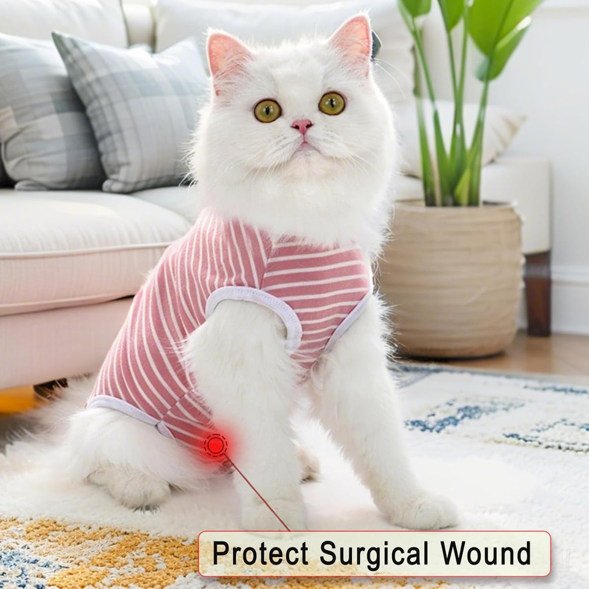 TIAGOBOO cat post surgery shirt illustrating abdominal wound protection coverage