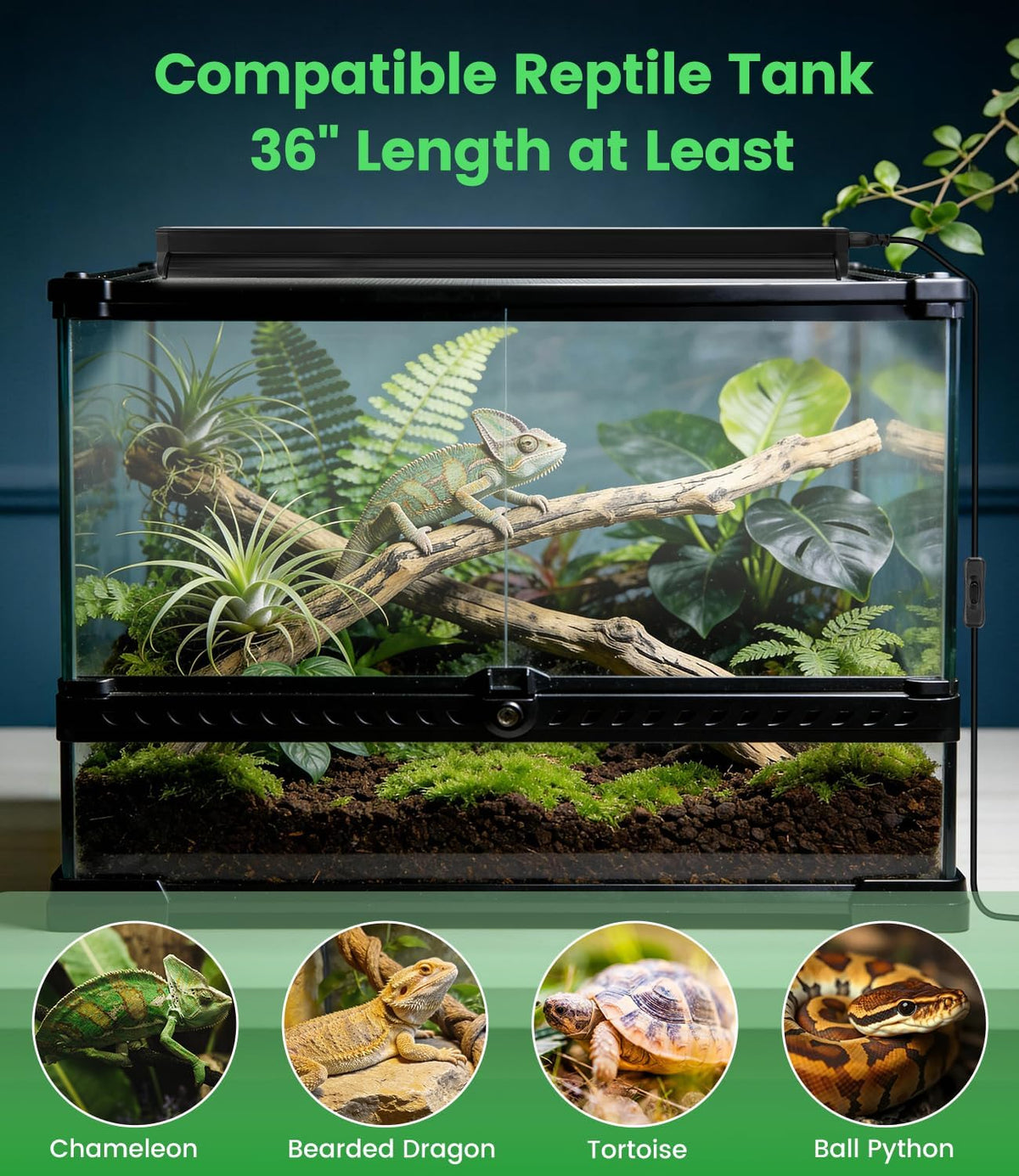 Hygger Zoo UVB terrarium light packaged securely with included setup components.