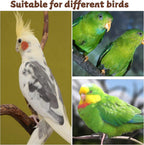 QFGasre breathable polyester bird diaper lifestyle display