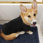 Black Idepet puppy coat with snap buttons