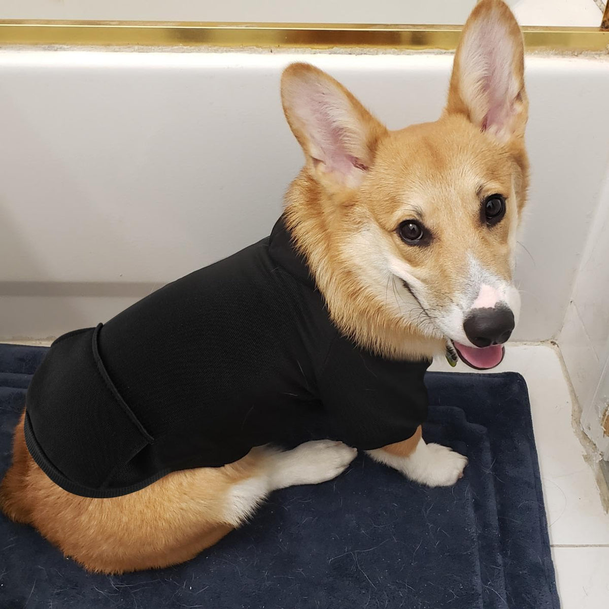 Black Idepet puppy coat with snap buttons