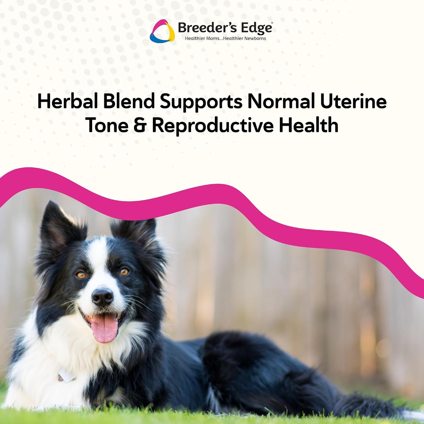 USA imported authentic pet supplement bottle for breeding and whelping support