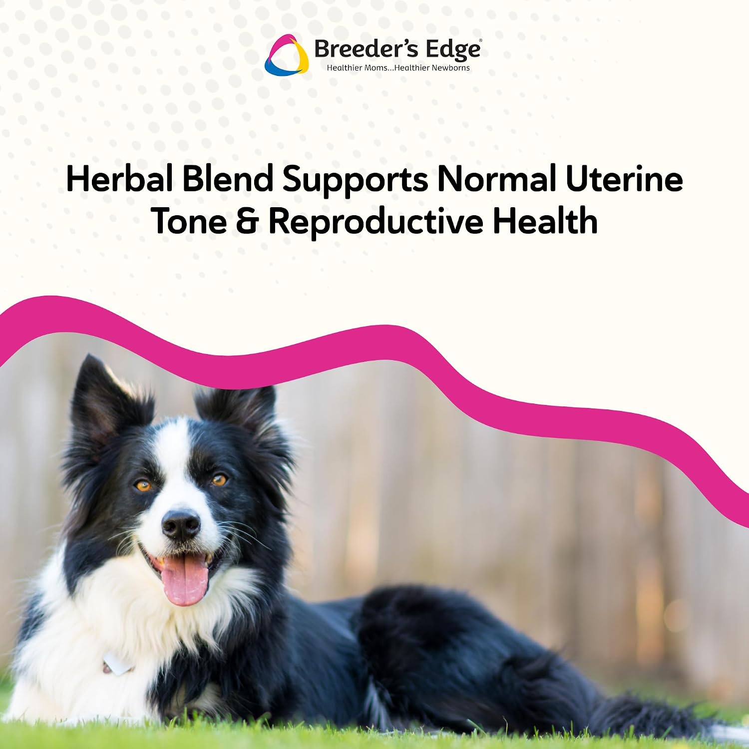 USA imported authentic pet supplement bottle for breeding and whelping support
