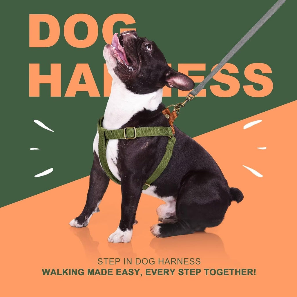 Small dog wearing Didog green step in harness