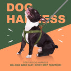Small dog wearing Didog green step in harness