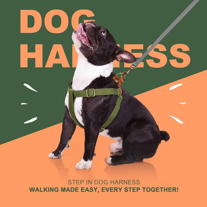 Small dog wearing Didog green step in harness