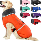 Qbleev waterproof dog coat for outdoor activities