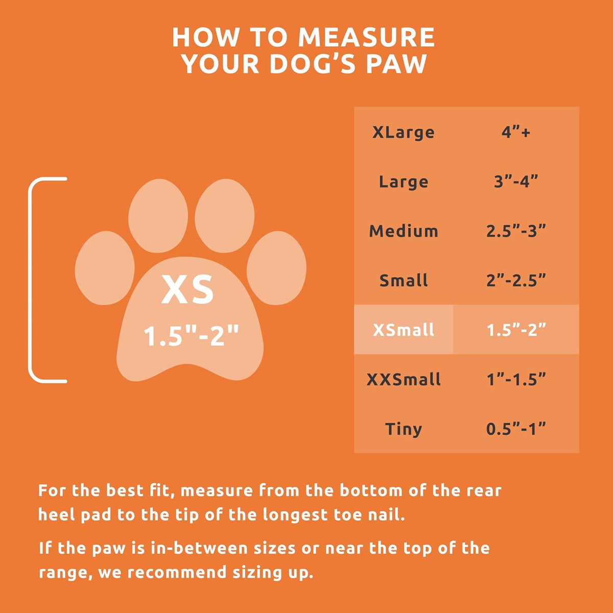 Pawz waterproof dog boots on small pet paws