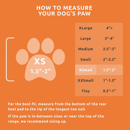 Pawz waterproof dog boots on small pet paws