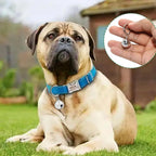 Aphrordity anti lost tracking bell for small dogs and indoor cats
