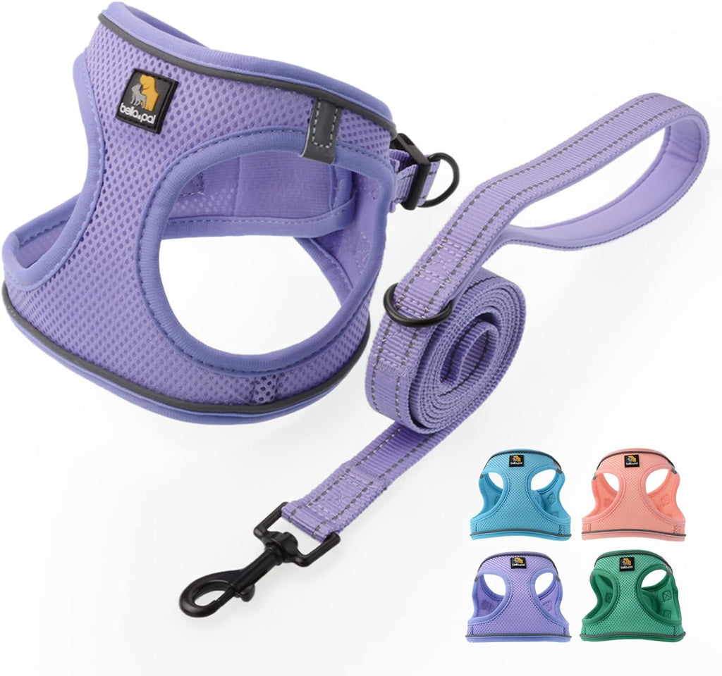 Bella And Pal breathable air mesh dog harness with matching leash set
