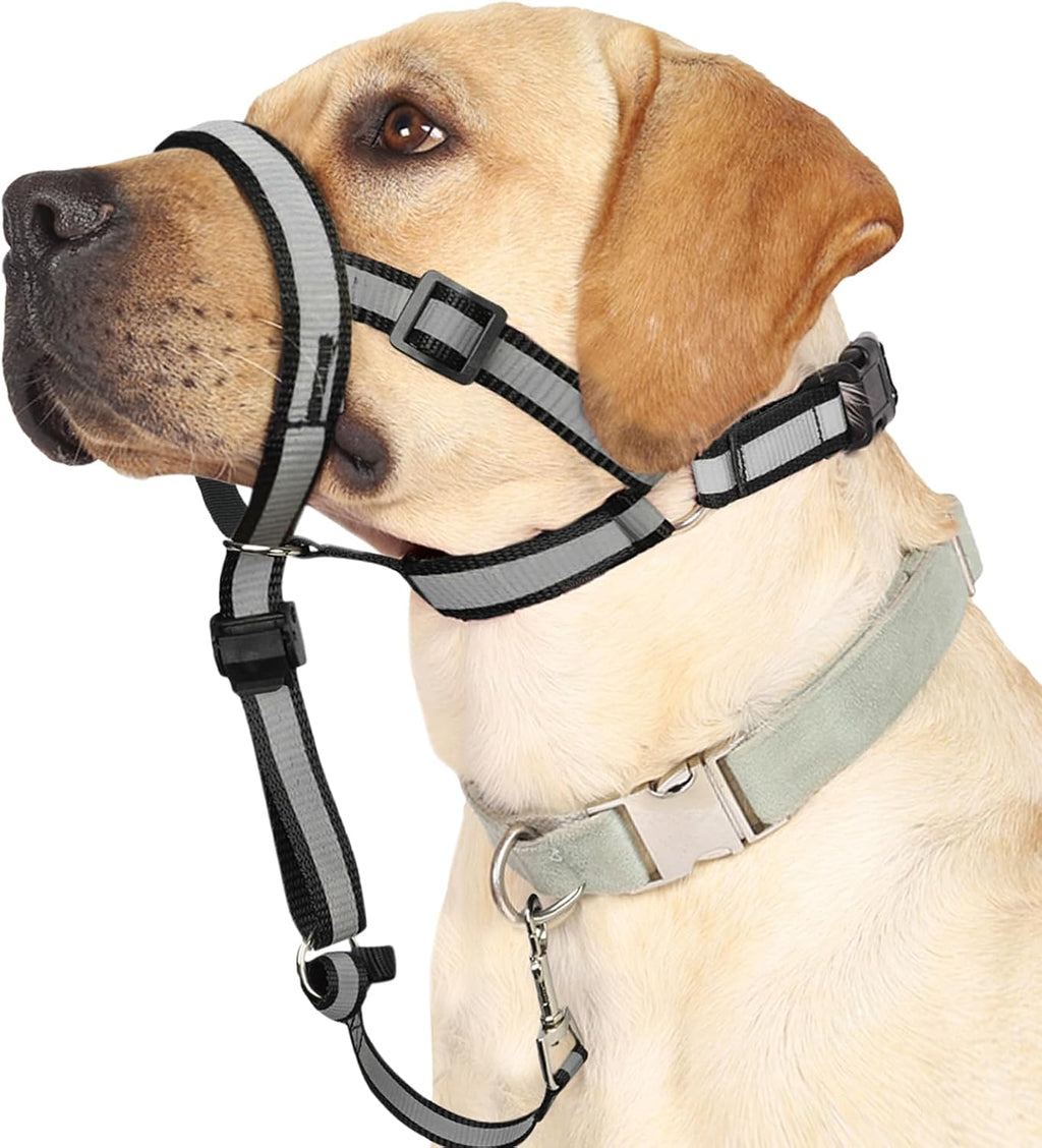 Barkless reflective head collar for large dogs front view