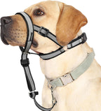 Barkless reflective head collar for large dogs front view