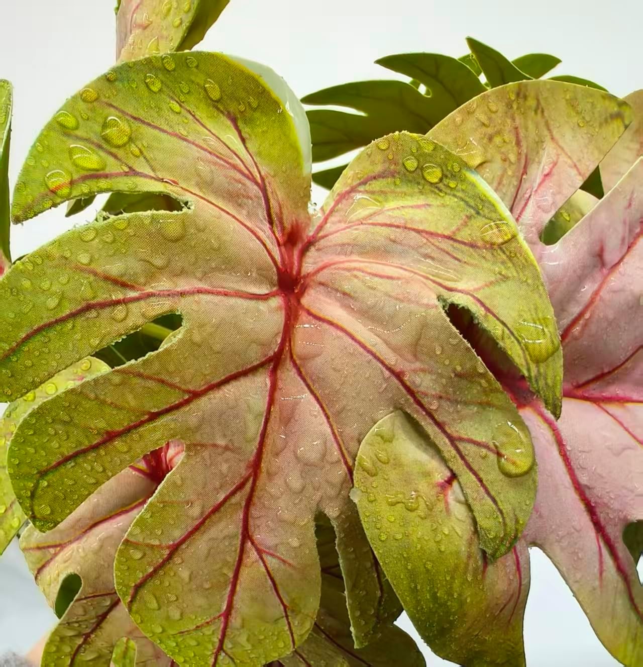 Close up of artificial monstera leaves for gecko tanks