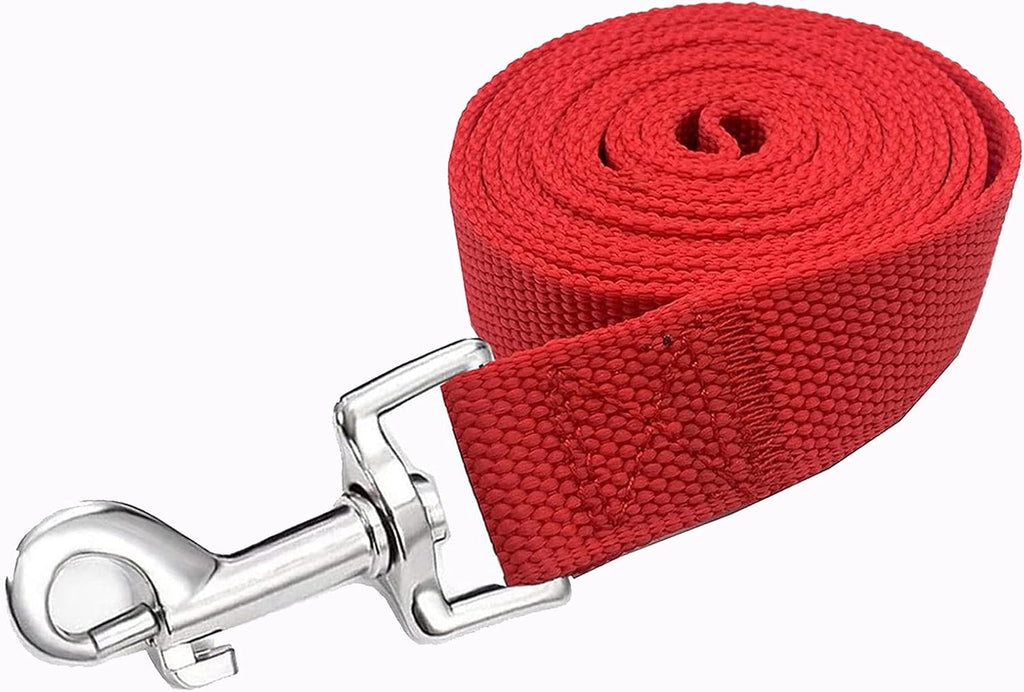 Close-up of the wear-resistant stitching on the red four-foot dog leash.