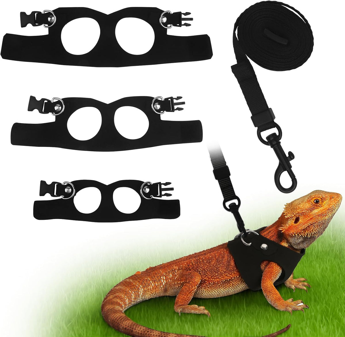 Asofelk bearded dragon leash and harness set front view showing black leather vest