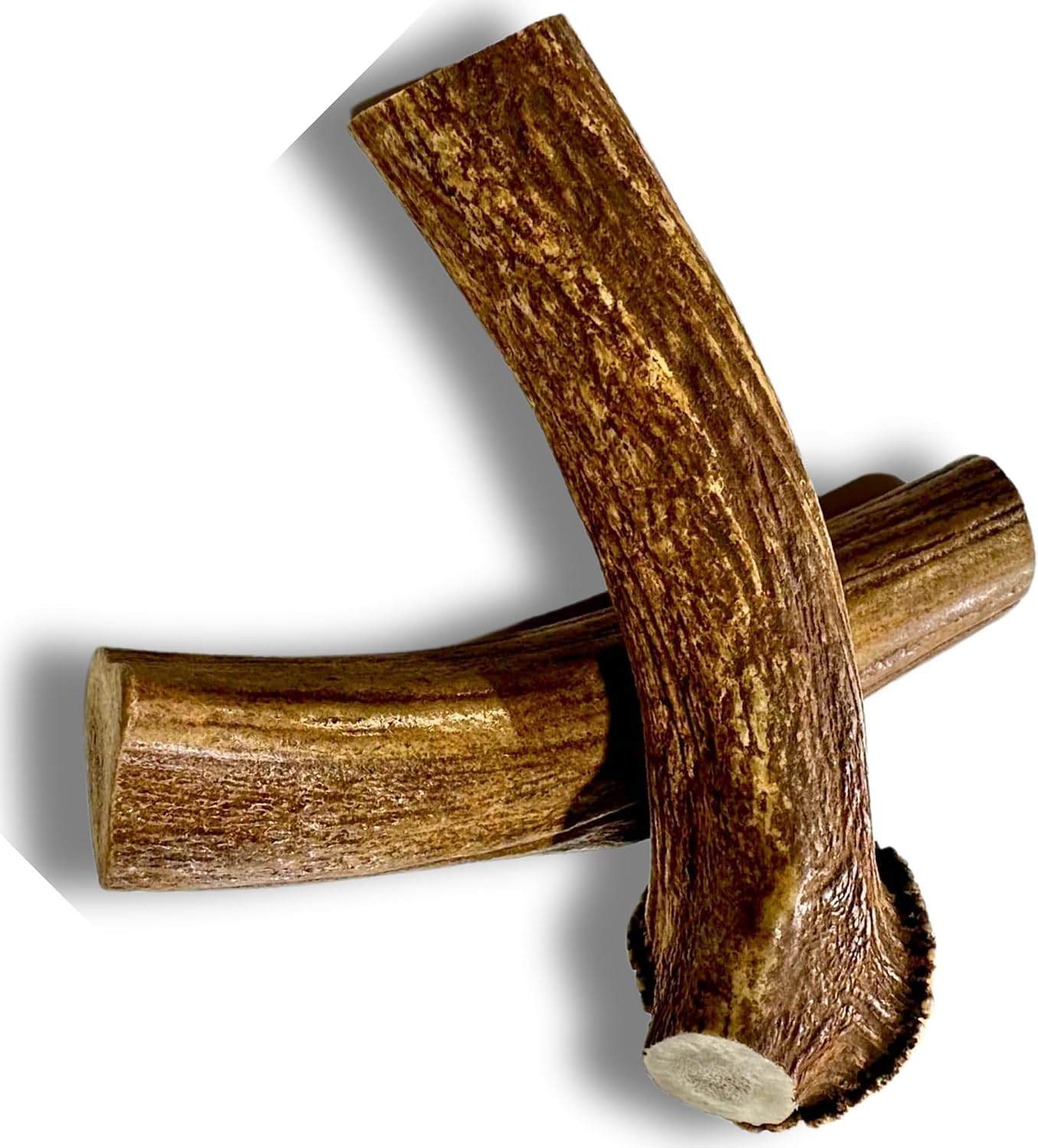 Whitetail Naturals Deer Antler Dog Chews (3 Pack Medium) - Wild Sourced, Naturally Shed Whole Antlers for Dogs - Long Lasting Dog Bones for Power Chewers - Image 15