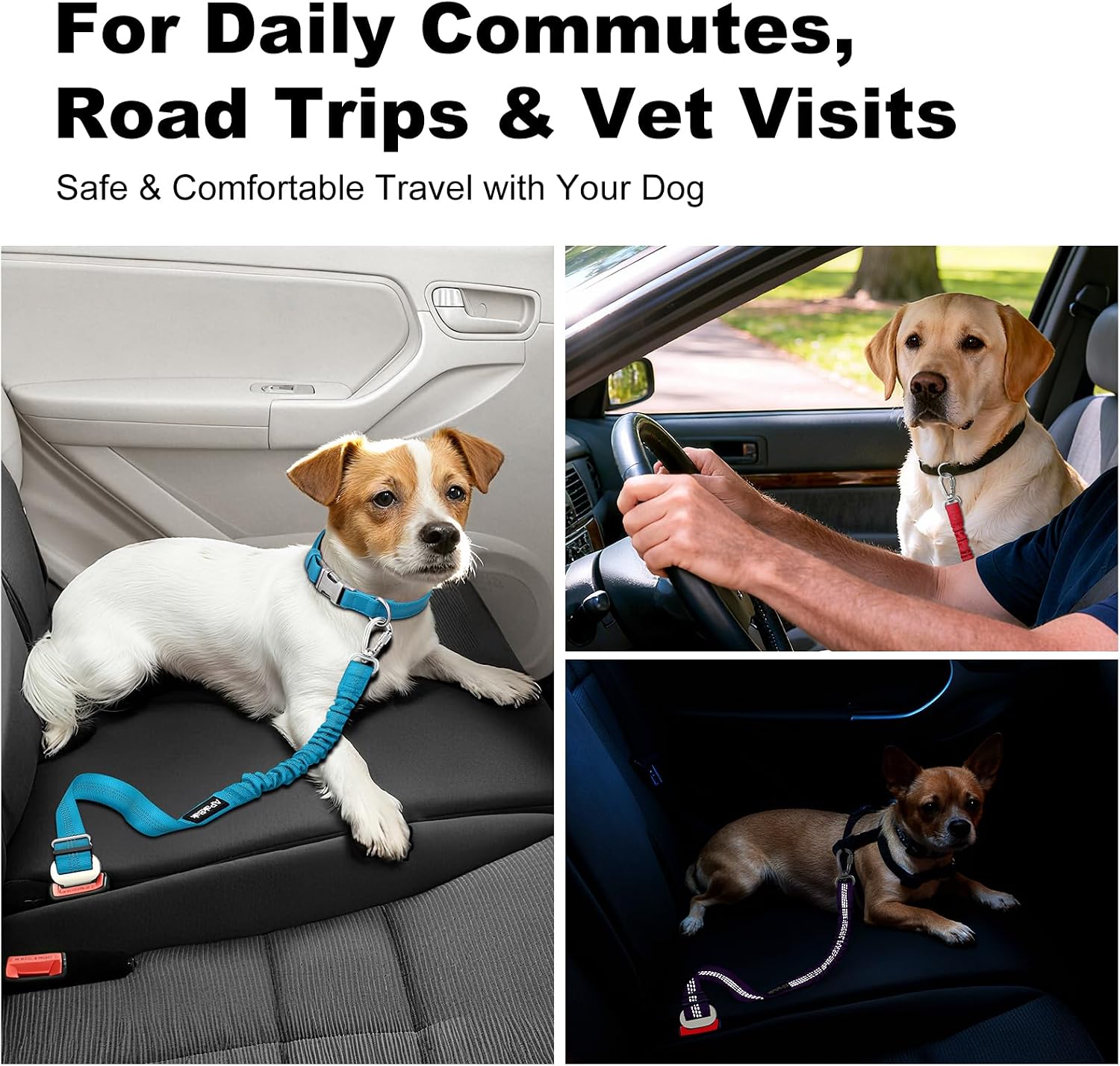 Apakbak travel safety restraint for pets