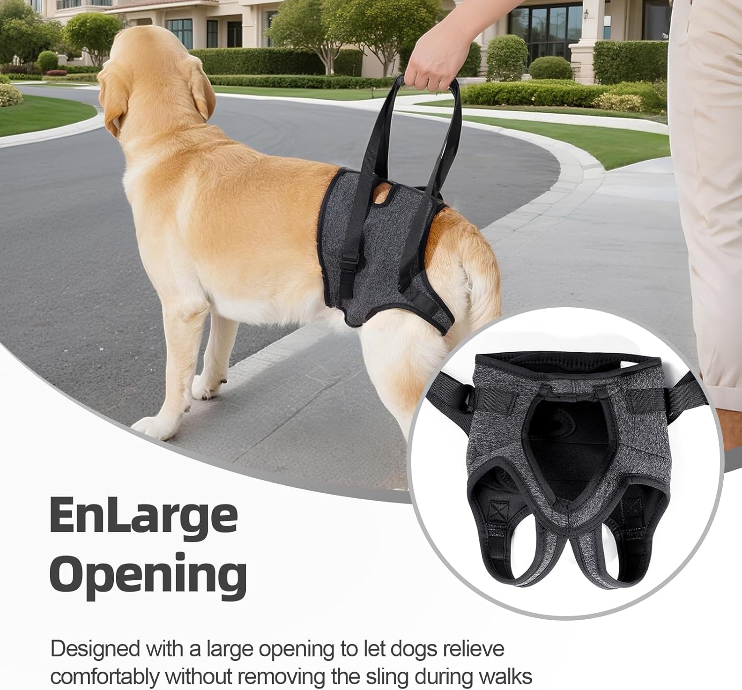 Large dog hind leg support mobility aid
