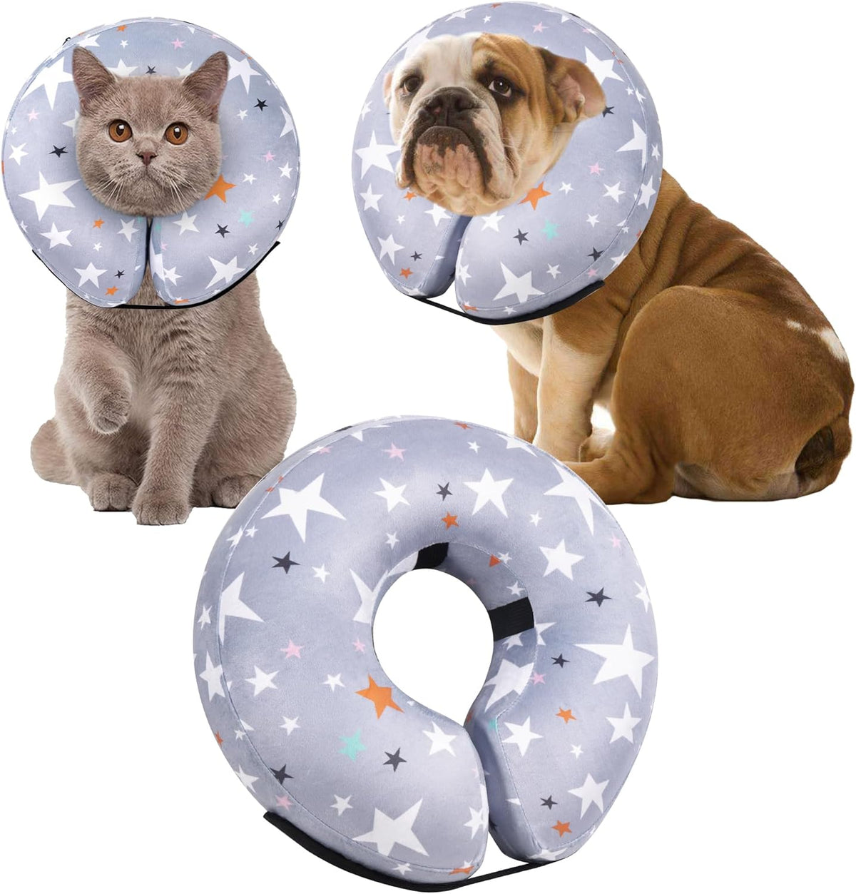 Inner ring secure loops used for attaching a traditional pet collar.