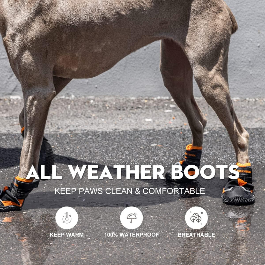 Boxxberk dog shoes with anti-slip rubber soles