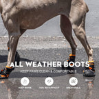 Boxxberk dog shoes with anti-slip rubber soles