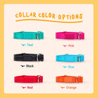 Pawblefy nylon dog collar available in multiple colors