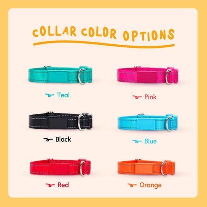 Pawblefy nylon dog collar available in multiple colors