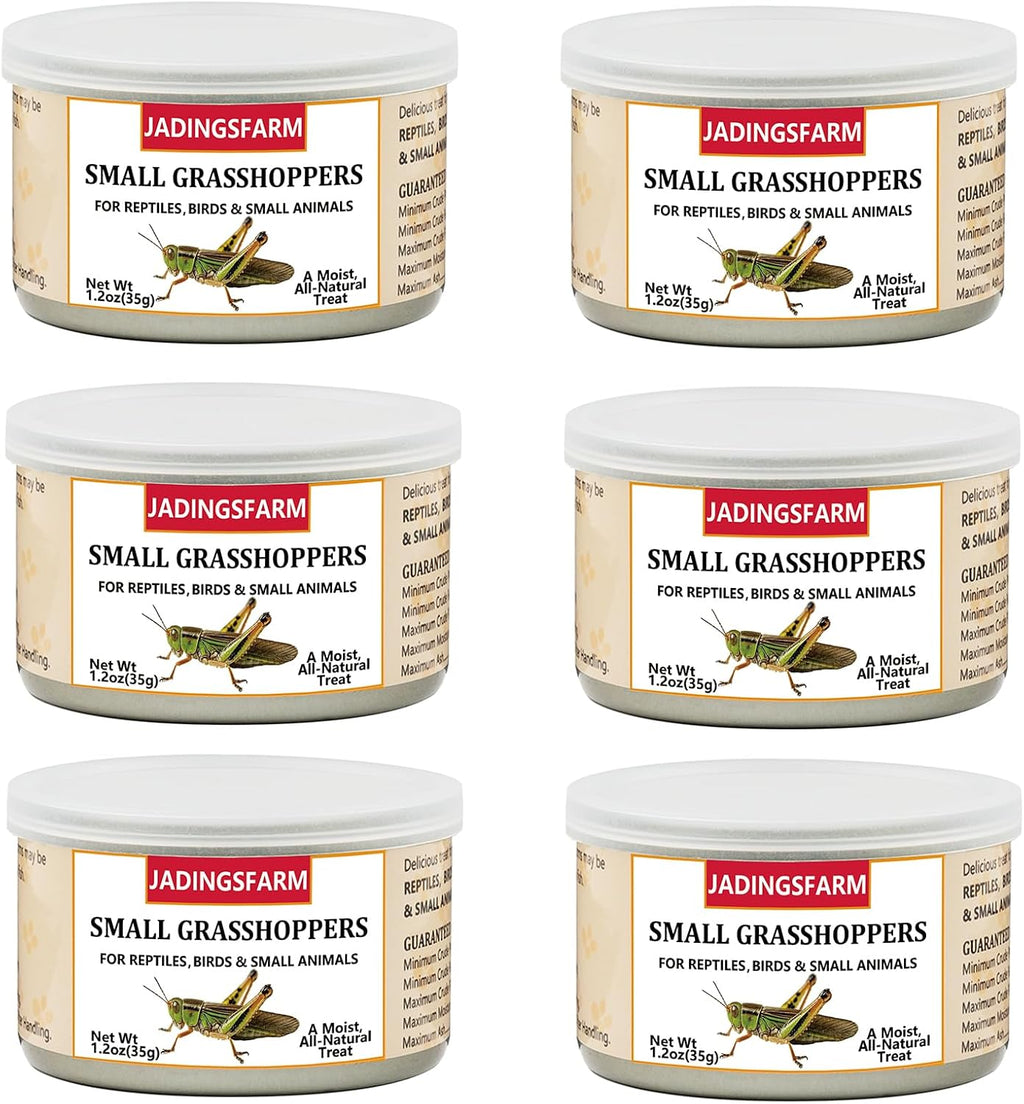 6 Pack Canned Crickets for Reptiles, Fish, Birds and Small Animals, Crickets, Healthy High Protein Treat, Reptile Bird Fish Food 7.2 Ounces Total - Image 9