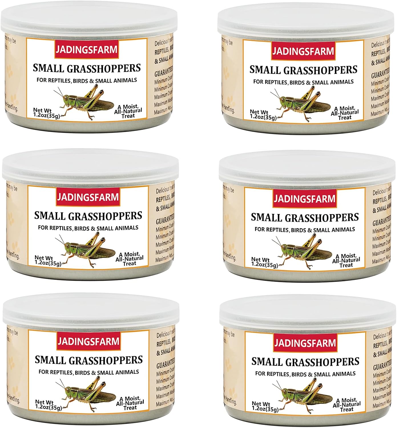 6 Pack Canned Crickets for Reptiles, Fish, Birds and Small Animals, Crickets, Healthy High Protein Treat, Reptile Bird Fish Food 7.2 Ounces Total - Image 9