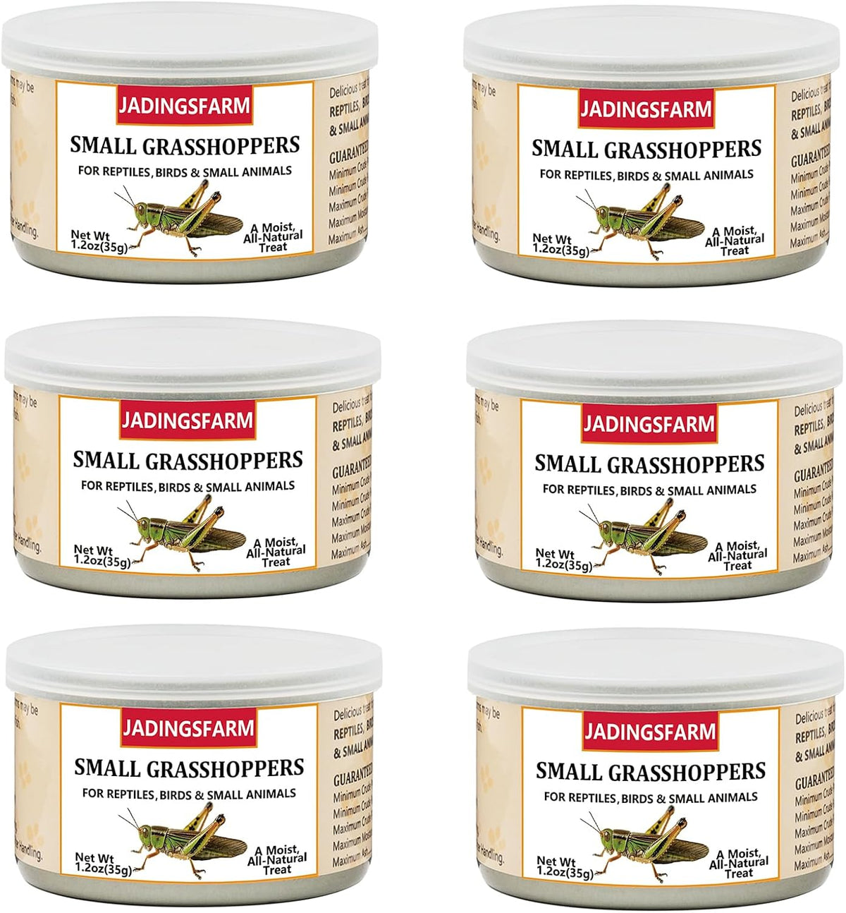 6 Pack Canned Crickets for Reptiles, Fish, Birds and Small Animals, Crickets, Healthy High Protein Treat, Reptile Bird Fish Food 7.2 Ounces Total - Image 9