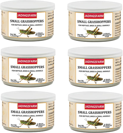 6 Pack Canned Crickets for Reptiles, Fish, Birds and Small Animals, Crickets, Healthy High Protein Treat, Reptile Bird Fish Food 7.2 Ounces Total - Image 9
