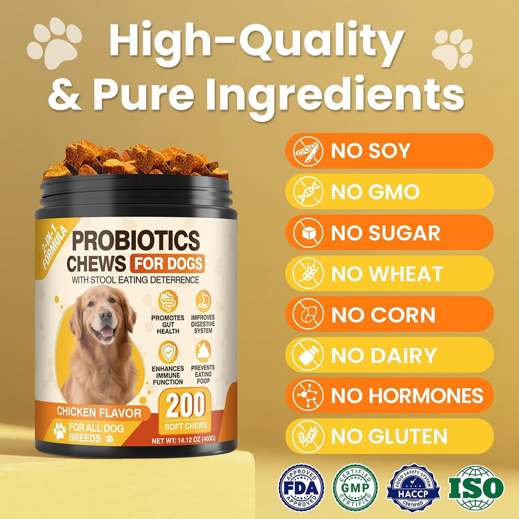 Dog enjoying probiotic immune support treat