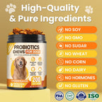 Dog enjoying probiotic immune support treat
