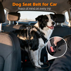 PetBonus durable nylon rope dog car restraint