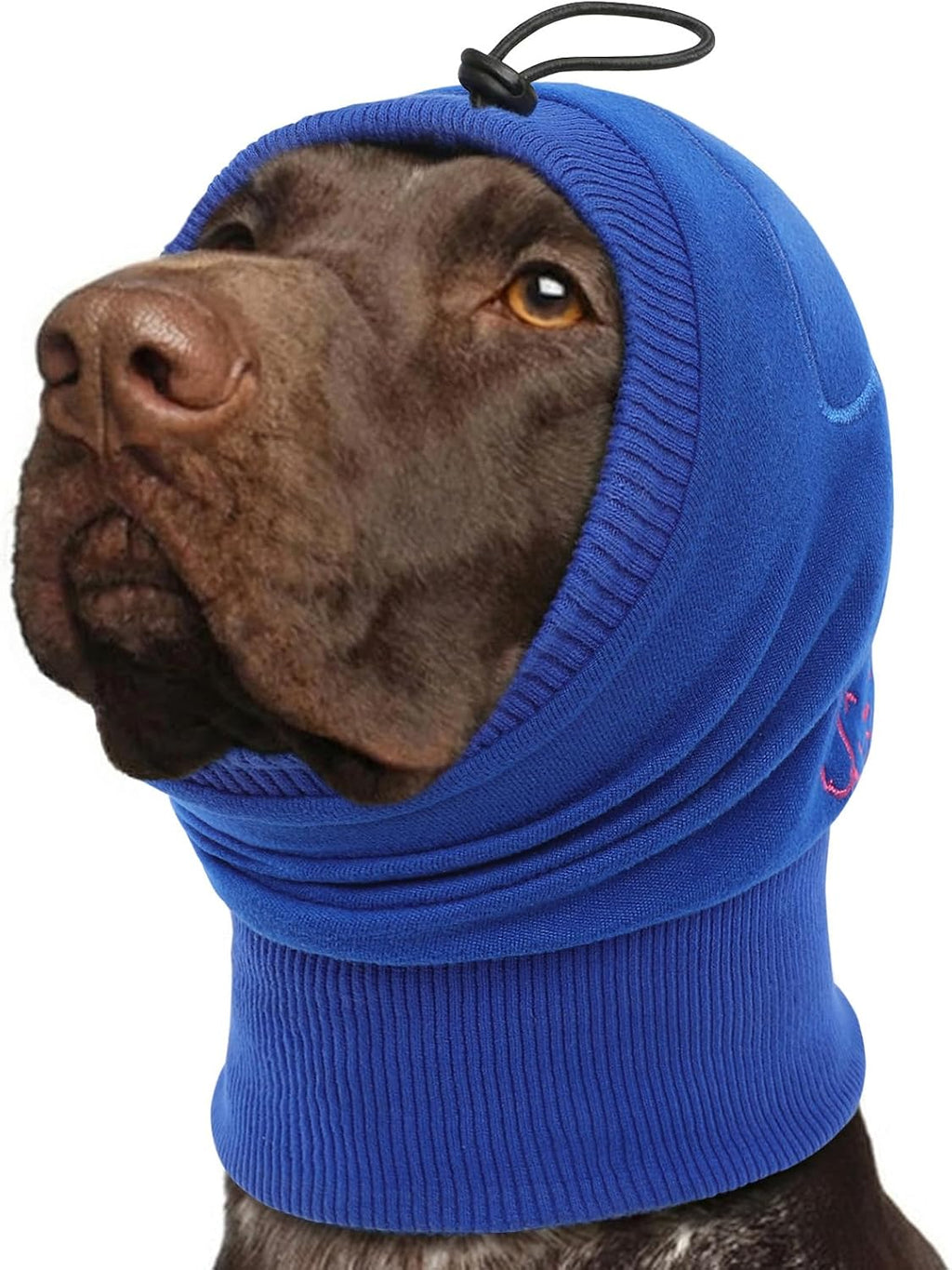 Dog anxiety relief ear wrap hood for travel and vet visits.